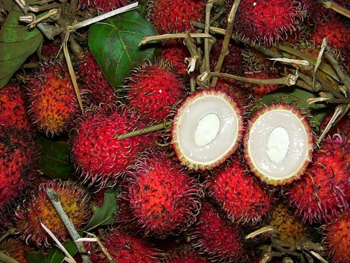 Рамбутан черимойя