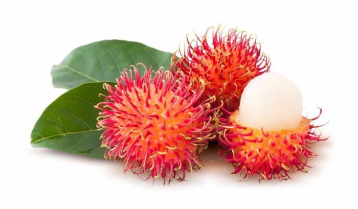 Что такое рамбутан