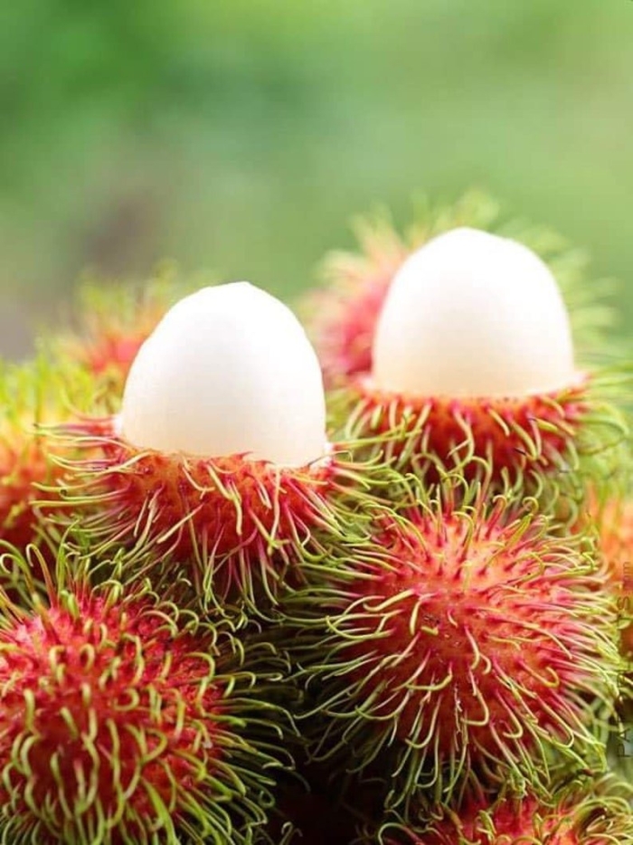 Экзотический фрукт рамбутан