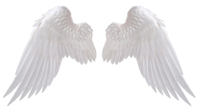 Крыло ангела