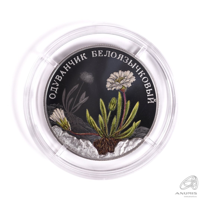 Одуванчик белоязычковый монета