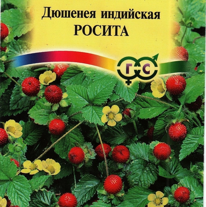 Дюшенея росита