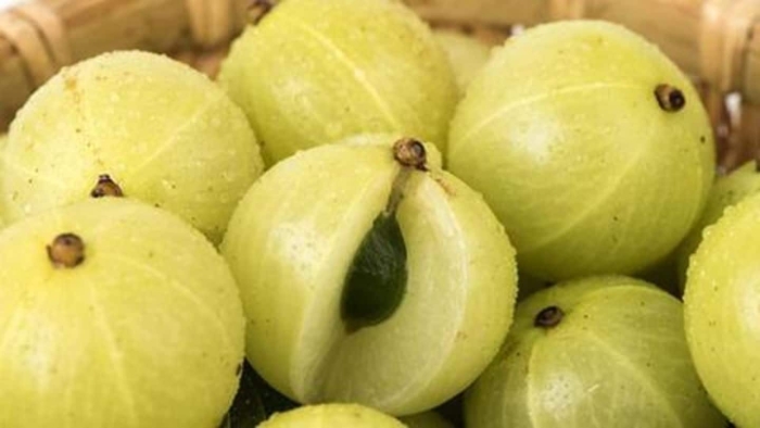 Amla крыжовник