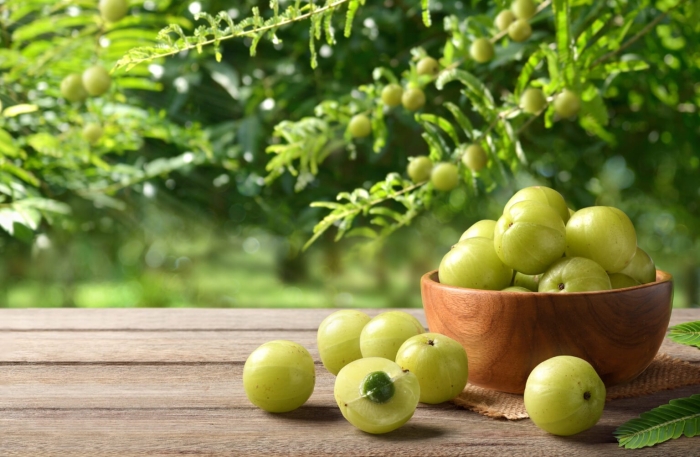 Amla benefits