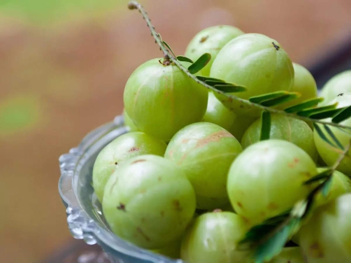 Амалаки амла