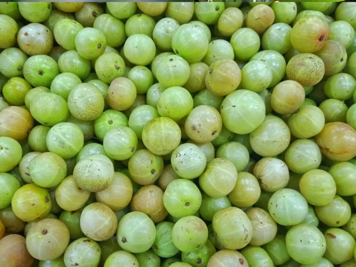 Amla крыжовник
