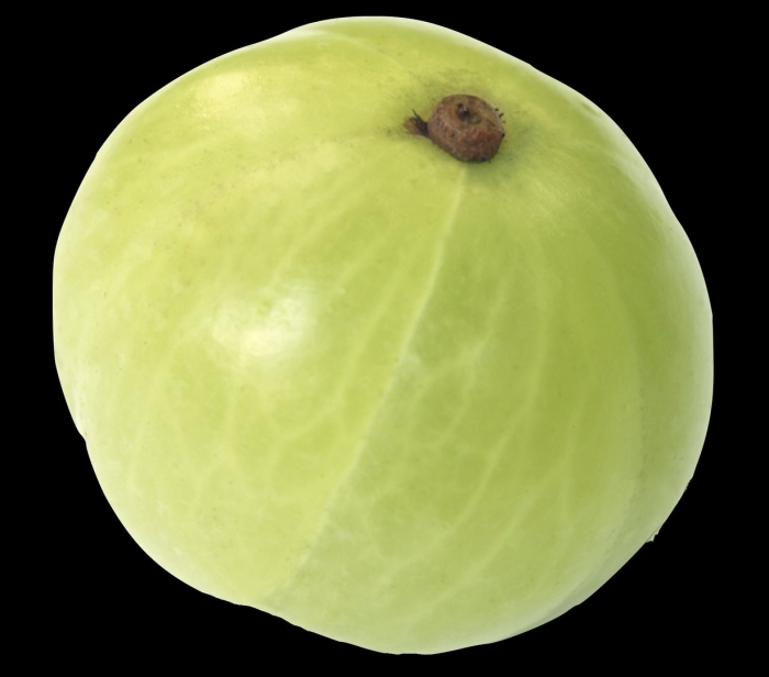 Индийский крыжовник амла