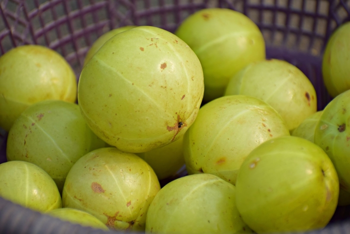Indian gooseberry