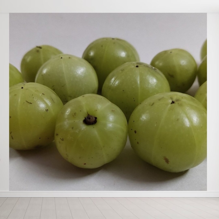 Эмблика лекарственная