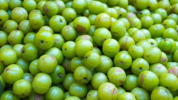 Индийский крыжовник амла