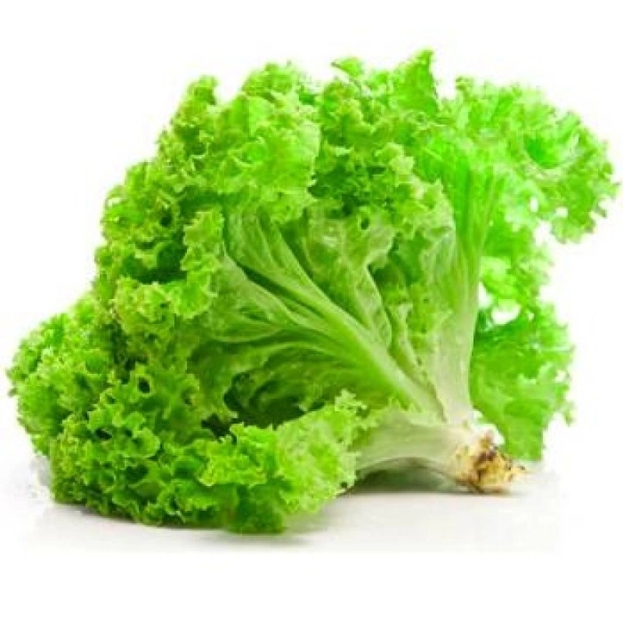 Мароль салат листовой