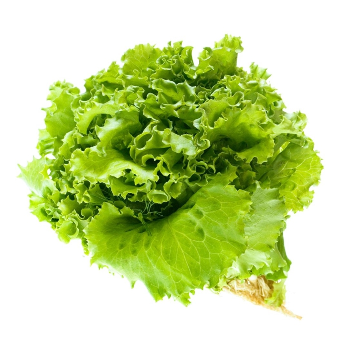 Латук кочанный