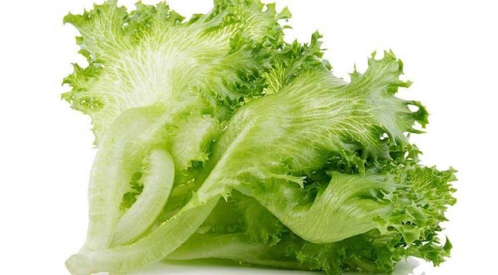 Виды салата листового