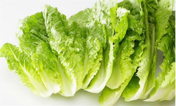 Листья салата латук