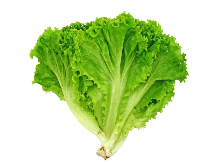 Салат листья салата