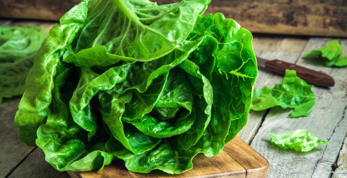 Салат листовой