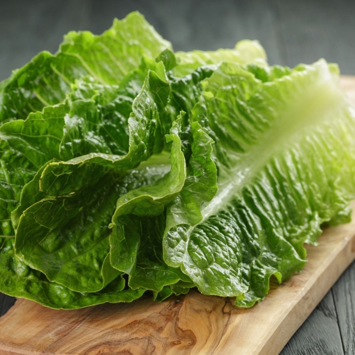 Листья салата романо