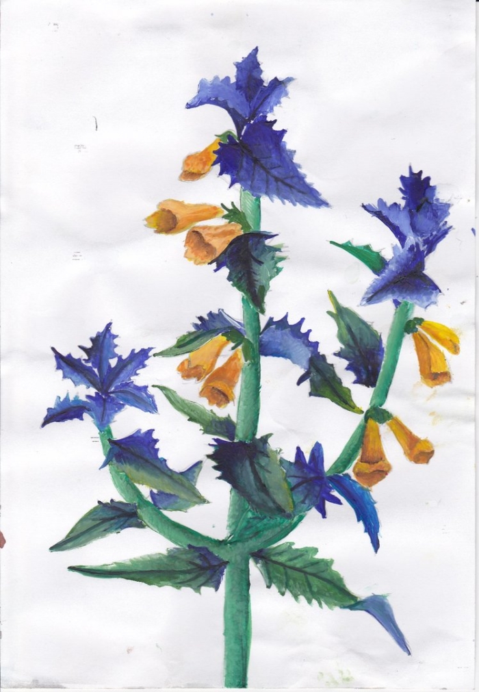 Иван да марья