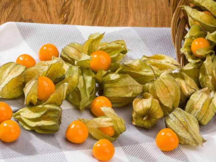 Физалис земляничный