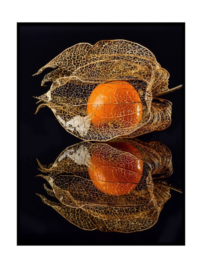 Физалис кумихо