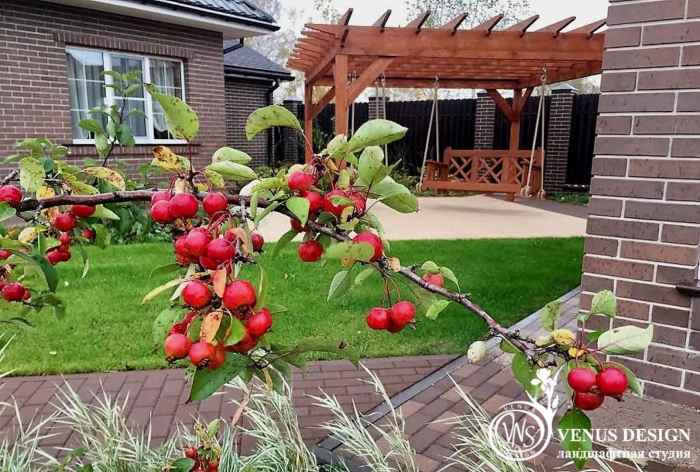 Ландшафт яблони сморода