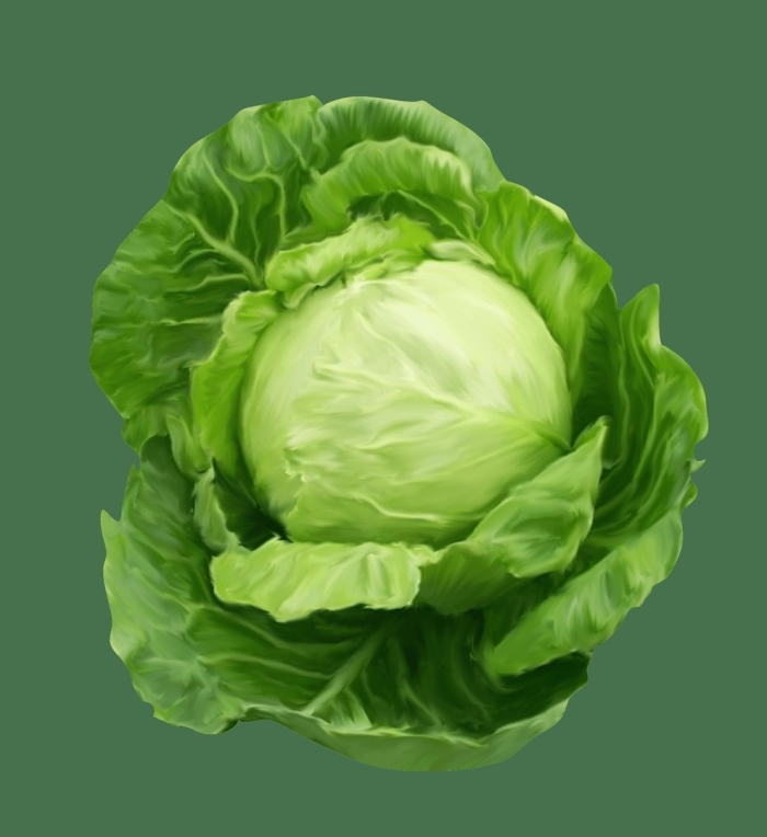 Капустная кочерыжка