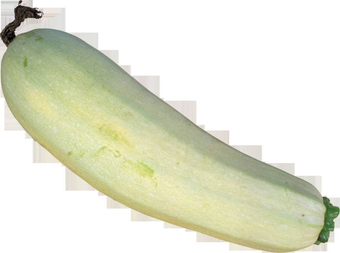 Кукурбита пепо