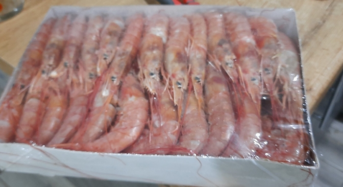 Креветка аргентинская лангустины