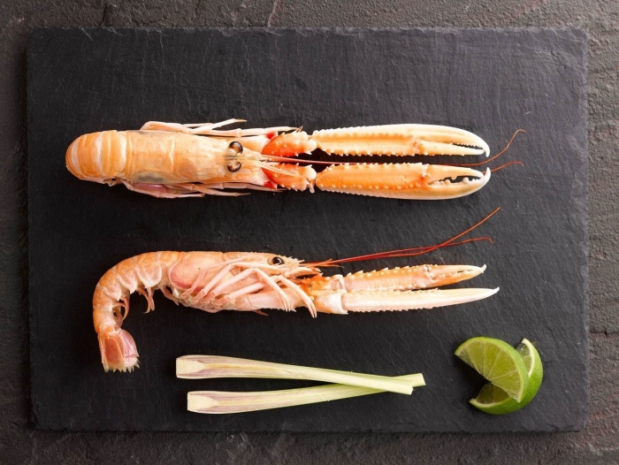 Лангустин и креветка