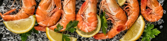 Северная креветка