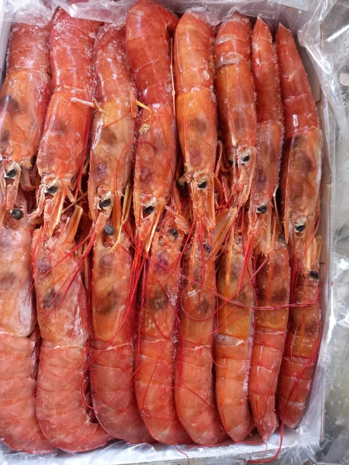 Лангустины l1 аргентина