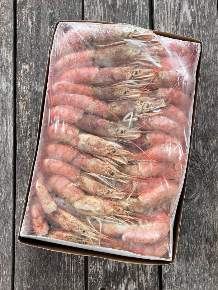 Креветка аргентинская лангустины