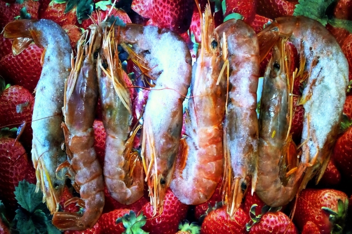 Лангустины с головой