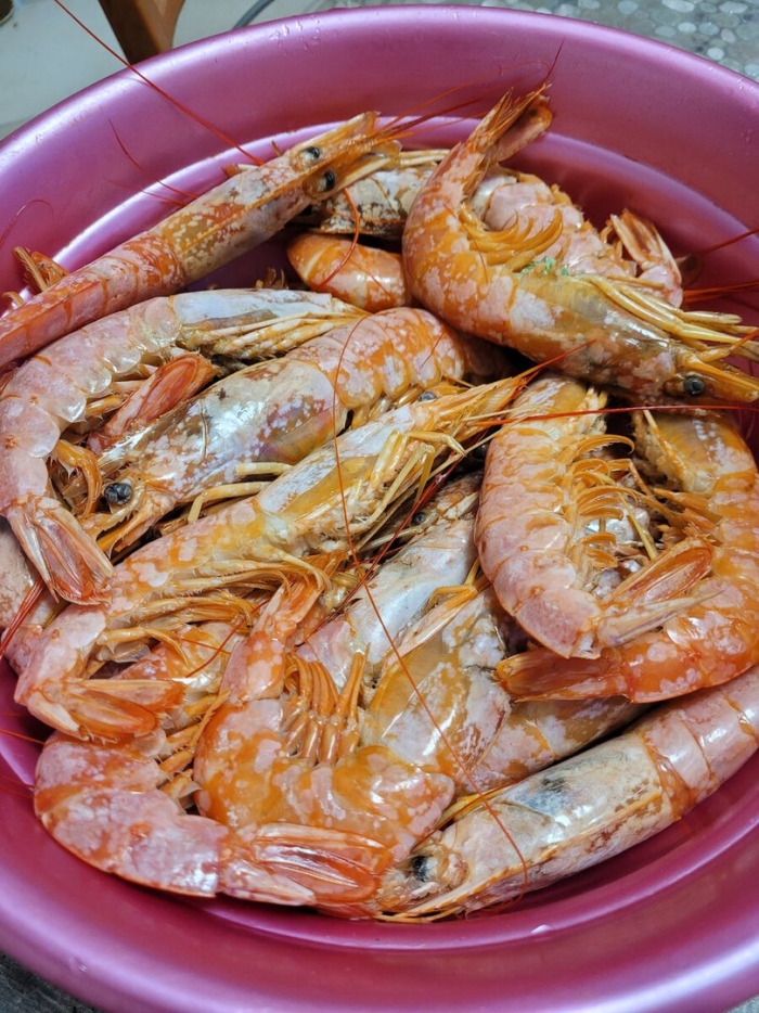 Аргентинские лангустины