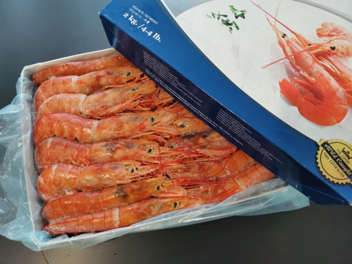 Pescar лангустины l2