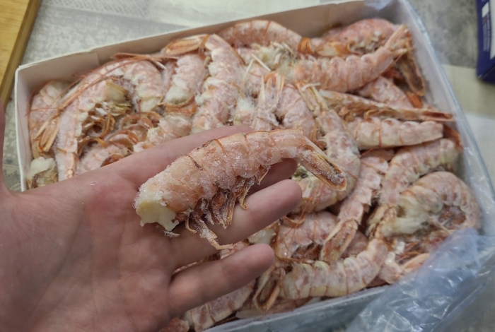 Лангустины с1