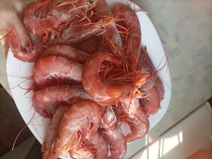 Креветка медведка и лангустин