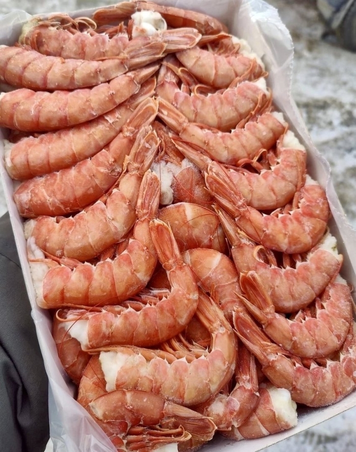 Лангустины креветки