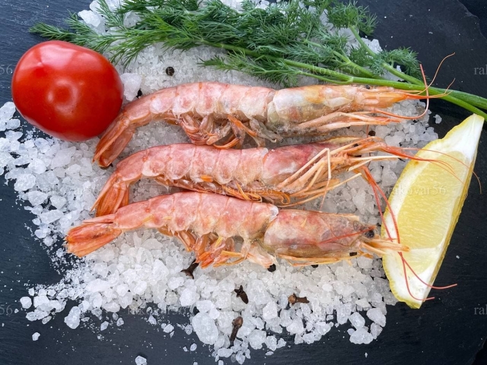 Креветка аргентинская лангустины