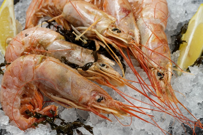 Креветка лангустин