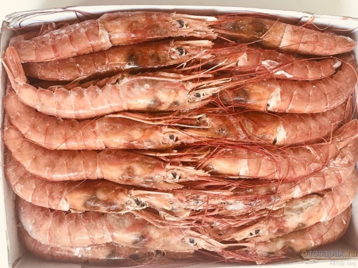 Лангустины (креветки) l2