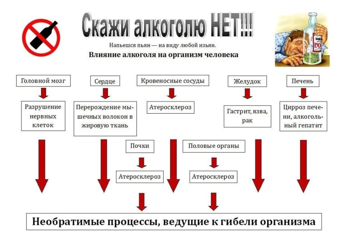 О вреде алкоголя