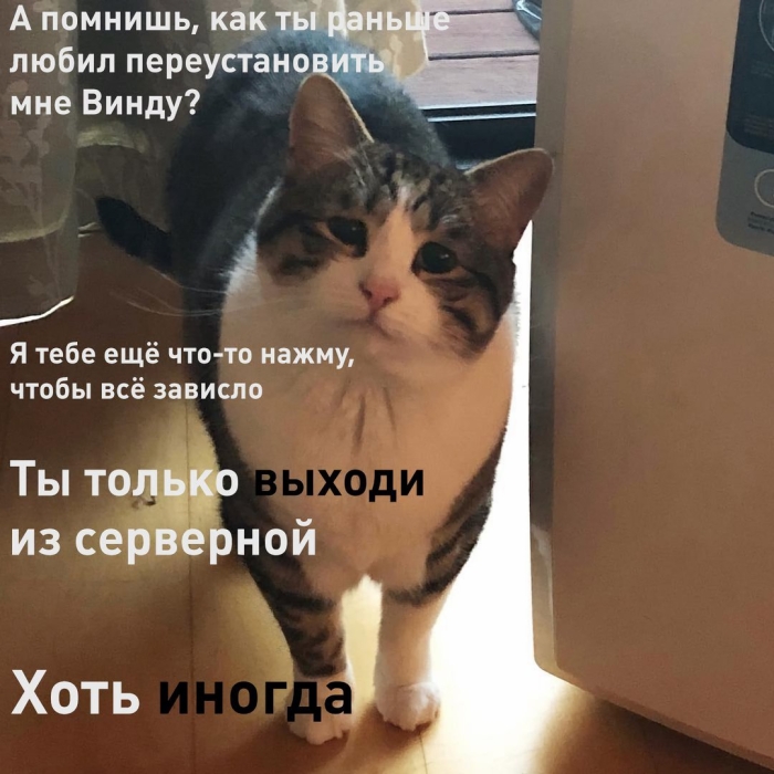 Ты только приезжай хоть иногда