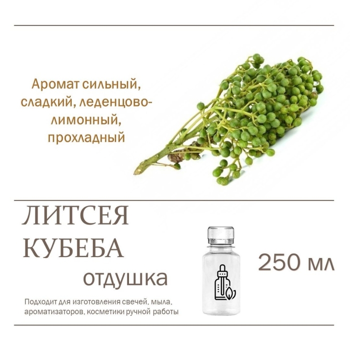 Литсея кубеба