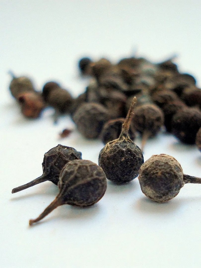 Piper cubeba