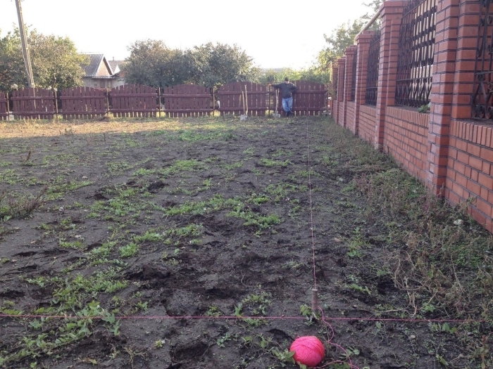 Малина вдоль забора