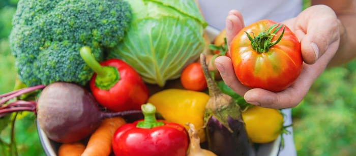 Овощи на огороде