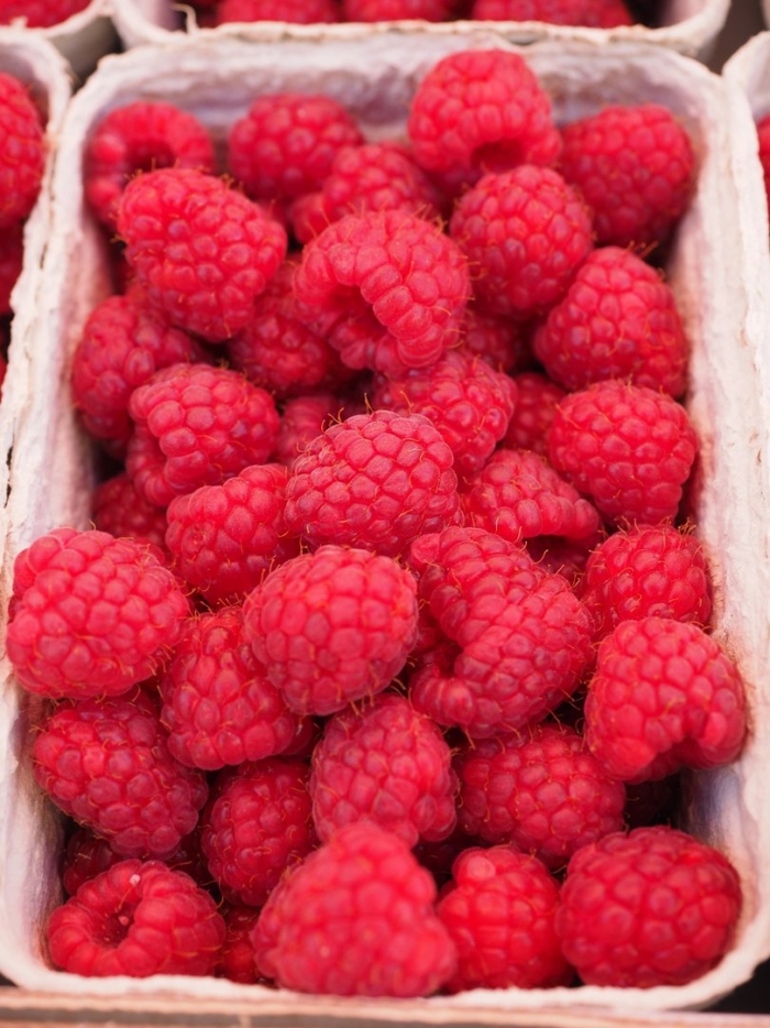 Raspberry fruit