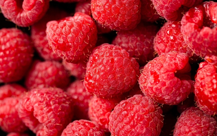 Макро ягоды