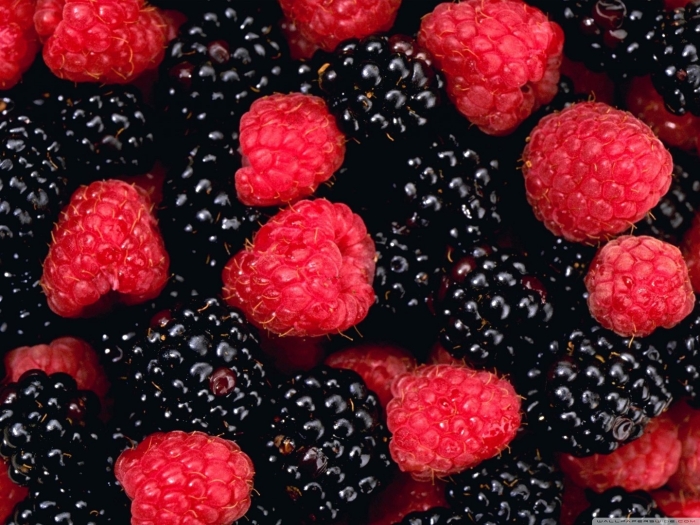 Малина ежевика